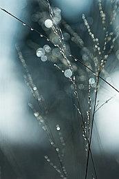 《死亡之旅：让它去死》重开发将吸取旧作更多元素